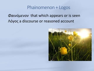 Phainomenon + Logos
Φαινόμενoν that which appears or is seen
Λόγος a discourse or reasoned account
 