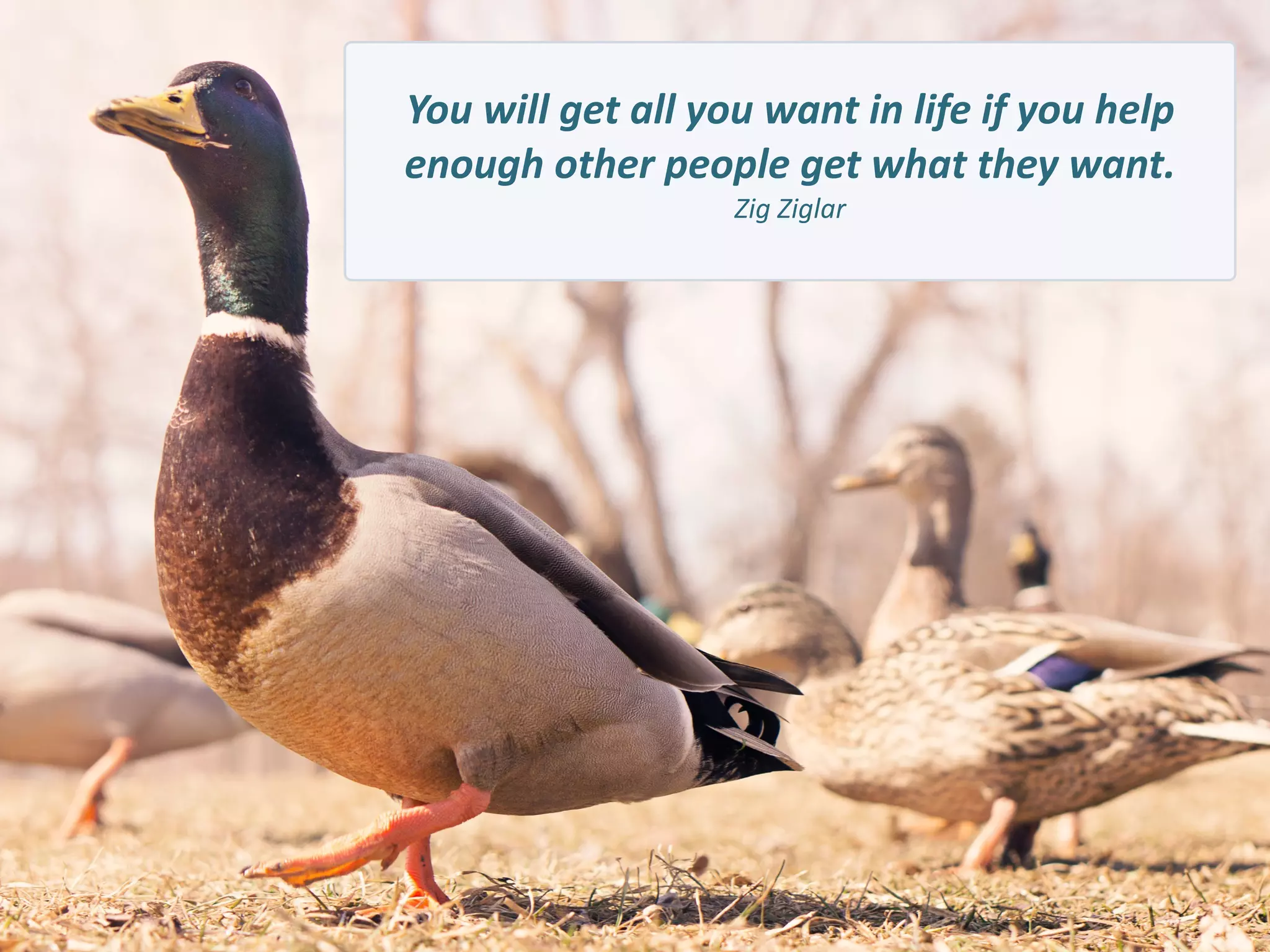 You	
  will	
  get	
  all	
  you	
  want	
  in	
  life	
  if	
  you	
  help	
  
enough	
  other	
  people	
  get	
  what	
  they	
  want.	
  
Zig	
  Ziglar
 