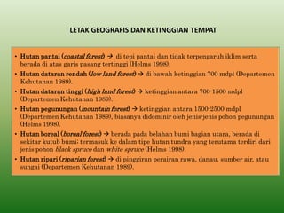 •Hutan pantai (coastal forest)  di tepi pantai dan tidak terpengaruh iklim serta berada di atas garis pasang tertinggi (Helms 1998). 
•Hutan dataran rendah (low land forest)  di bawah ketinggian 700 mdpl (Departemen Kehutanan 1989). 
•Hutan dataran tinggi (high land forest)  ketinggian antara 700-1500 mdpl (Departemen Kehutanan 1989). 
•Hutan pegunungan (mountain forest)  ketinggian antara 1500-2500 mdpl (Departemen Kehutanan 1989), biasanya didominir oleh jenis-jenis pohon pegunungan (Helms 1998). 
•Hutan boreal (boreal forest)  berada pada belahan bumi bagian utara, berada di sekitar kutub bumi; termasuk ke dalam tipe hutan tundra yang terutama terdiri dari jenis pohon black spruce dan white spruce (Helms 1998). 
•Hutan ripari (riparian forest)  di pinggiran perairan rawa, danau, sumber air, atau sungai (Departemen Kehutanan 1989). 
LETAK GEOGRAFIS DAN KETINGGIAN TEMPAT  