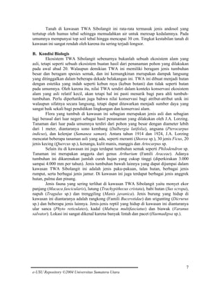 Tanah di kawasan TWA Sibolangit ini rata-rata termasuk jenis andosol yang
tertutup oleh humus tebal sehingga memudahkan air untuk meresap kedalamnya. Pada
umumnya mempunyai top soil tebal hingga mencapai 30 cm. Tingkat kestabilan tanah di
kawasan ini sangat rendah oleh karena itu sering terjadi longsor.
B. Kondisi Biologis
Ekosistem TWA Sibolangit sebenarnya bukanlah sebuah ekosistem alam yang
asli, tetapi seperti sebuah ekosistem buatan hasil dari penanaman pohon yang dilakukan
pada awal abad 20. Walaupun demikian TWA ini memiliki beragam jenis tumbuhan
besar dan beragam spesies semak, dan ini kemungkinan merupakan dampak langsung
yang ditinggalkan dalam beberapa dekade belakangan ini. TWA ini dibuat menjadi hutan
dengan estetika yang indah seperti kebun raya (kebun botani) dan tidak seperti hutan
pada umumnya. Oleh karena itu, nilai TWA sendiri dalam konteks konservasi ekosistem
alam yang asli relatif kecil, akan tetapi hal ini pasti menarik bagi para ahli tumbuhtumbuhan. Perlu diperhatikan juga bahwa nilai konservasi bagi atribut-atribut unik ini
walaupun sifatnya secara langsung, tetapi dapat ditawarkan menjadi sumber daya yang
sangat baik sekali bagi pendidikan lingkungan dan konservasi alam.
Flora yang tumbuh di kawasan ini sebagian merupakan jenis asli dan sebagian
lagi berasal dari luar negeri sebagai hasil penanaman yang dilakukan oleh J.A. Lorzing.
Tanaman dari luar pada umumnya terdiri dari pohon yang besar dengan diameter lebih
dari 1 meter, diantaranya sono kembang (Dalbergia latifolia), angsana (Pterocarpus
indicus), dan kelenjar (Samanea saman). Antara tahun 1914 dan 1924, J.A. Lorzing
mencatat beberapa tanaman asli yang ada, seperti meranti (Shorea sp.), 30 jenis Ficus, 20
jenis kecing (Quercus sp.), kenanga, kulit manis, manggis dan Artocarpus sp.
Selain itu di kawasan ini juga terdapat tumbuhan semak seperti Philodendron sp.
Tanaman ini merupakan anggota dari genus Arthurium (Famili Araceae). Adanya
tumbuhan ini dikarenakan jumlah curah hujan yang cukup tinggi (diperkirakan 3.000
sampai 4.000 mm per tahun). Jenis tumbuhan bawah lainnya yang dapat dijumpai dalam
kawasan TWA Sibolangit ini adalah jenis paku-pakuan, talas hutan, berbagai jenis
rumput, serta berbagai jenis jamur. Di kawasan ini juga terdapat berbagai jenis anggrek
hutan, palma dan pinang.
Jenis fauna yang sering terlihat di kawasan TWA Sibolangit yaitu monyet ekor
panjang (Macaca fascicularis), lutung (Trachypithecus cristata), babi hutan (Sus scropa),
napuh (Tragulus sp.) dan trenggiling (Manis javanica). Jenis burung yang hidup di
kawasan ini diantaranya adalah rangkong (Famili Bucerotidae) dan srigunting (Dicrurus
sp.) dan beberapa jenis lainnya. Jenis-jenis reptil yang hidup di kawasan ini diantaranya
ular sanca (Phyto reticulates), kadal (Mabuya multifasciatus) dan biawak (Varanus
salvator). Lokasi ini sangat dikenal karena banyak lintah dan pacet (Haemadipsa sp.).

7
e-USU Repository ©2004 Universitas Sumatera Utara

 