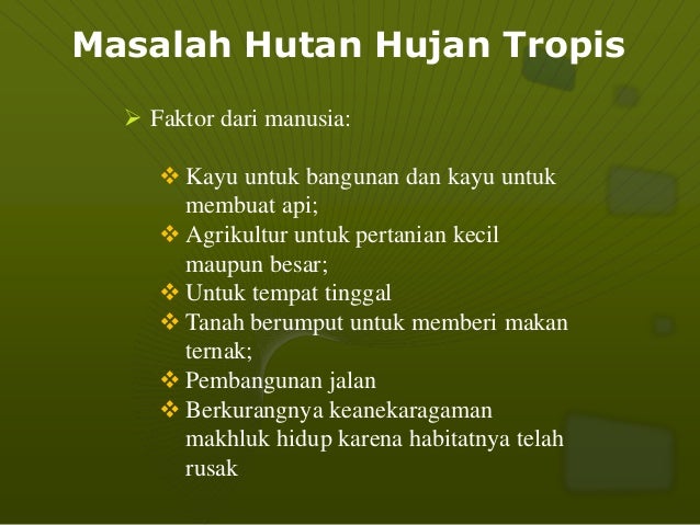Hutan Hujan Tropis