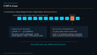 HGPS • GENETIC ORIGIN
LMNA Gene
A synonymous coding change becomes a high-impact splicing mutation.
SIMPLIFIED LMNA EXON MAP • NOT TO SCALE
1 2 3 4 5 6 7 8 9 10 11 12
EXON 11
CODON-LEVEL READING
c.1824C>T → p.Gly608Gly
The amino acid is unchanged—so the
variant appears “silent” in the protein code.
RNA-LEVEL CONSEQUENCE
Cryptic splice donor activated
Exon 11 is misread, creating a truncated
lamin A precursor that becomes progerin.
Same DNA letter code. Different RNA decision.
Sources: [1] GeneReviews® (2025) • [5] Gonzalo et al., Ageing Res Rev (2016) 8
 