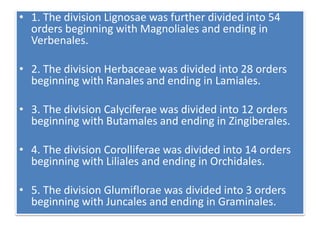 • 1. The division Lignosae was further divided into 54
orders beginning with Magnoliales and ending in
Verbenales.
• 2. The division Herbaceae was divided into 28 orders
beginning with Ranales and ending in Lamiales.
• 3. The division Calyciferae was divided into 12 orders
beginning with Butamales and ending in Zingiberales.
• 4. The division Corolliferae was divided into 14 orders
beginning with Liliales and ending in Orchidales.
• 5. The division Glumiflorae was divided into 3 orders
beginning with Juncales and ending in Graminales.
 
