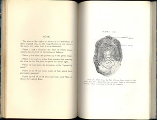 Salmon Scale Examination and its Practical Utility - J Arthur Hutton, Published in 1910 (pictures only).