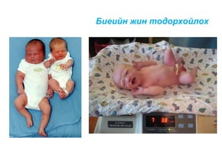 Биеийн жин тодорхойлох

 