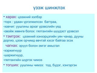 үзэж шинжлэх
• харах: цээжний хэлбэр
-торх : удаан үргэлжилсэн багтраа,
-хавчиг: уушгины архаг үрэвслийн үед
-овойж хөөнгө болох: гялтангийн шүүдэст үрэвсэл

• тэмтрэх: цээжний хэнхэрцэгийн уян чанар, дууны
доргио, цээж орчимд өвчтэй хэсэг байгаа эсэх

чагнах: эрүүл болон эмгэг амьсгал
-хэржигнүүр
-шаржигнуур,
-гялтангийн шүргэх чимээ

• тогших: уушгины чимээ: тод, бүдэг, хэнгэргэн

 
