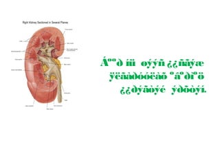 Áººð íü øýýñ ¿¿ñãýæ
ÿëãàðóóëàõ ºâºðìºö
¿¿ðýãòýé ýðõòýí.

 