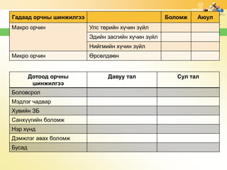 Гадаад орчны шинжилгээ
Макро орчин

Боломж

Аюул

Улс төрийн хүчин зүйл
Эдийн засгийн хүчин зүйл
Нийгмийн хүчин зүйл

Микро орчин

Дотоод орчны
шинжилгээ
Боловсрол
Мэдлэг чадвар
Хувийн ЗБ

Санхүүгийн боломж
Нэр хүнд
Дэмжлэг авах боломж
Бусад

Өрсөлдөөн

Давуу тал

Сул тал

 