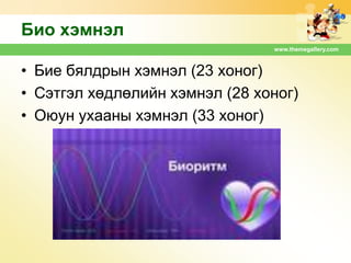 Био хэмнэл
www.themegallery.com

• Бие бялдрын хэмнэл (23 хоног)
• Сэтгэл хөдлөлийн хэмнэл (28 хоног)
• Оюун ухааны хэмнэл (33 хоног)

 