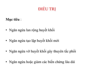 ĐIỀU TRỊ
Mục tiêu :
• Ngăn ngừa lan rộng huyết khối
• Ngăn ngừa tạo lập huyết khối mới
• Ngăn ngừa vỡ huyết khối gây thuyên tắc phổi
• Ngăn ngừa hoặc giảm các biến chứng lâu dài
 
