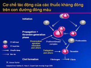 Huyet khoi tinh_mach_chi