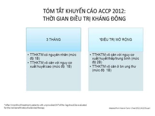 Huyet khoi tinh_mach_chi
