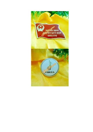Huy hiệu