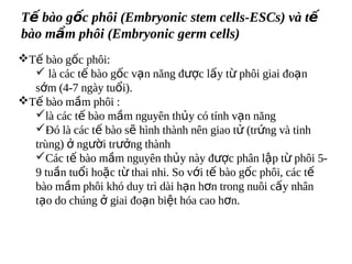 T? bo g?c ph?i (Embryonic stem cells-ESCs) v t?
bo m?m ph?i (Embryonic germ cells)
?T? bo g?c ph?i:
  ? l cc t? bo g?c v?n n?ng ???c l?y t? ph?i giai ?o?n
  s?m (4-7 ngy tu?i).
?T? bo m?m ph?i :
  ?l cc t? bo m?m nguyn th?y c tnh v?n n?ng
  ?? l cc t? bo s? hnh thnh nn giao t? (tr?ng v tinh
  trng) ? ng??i tr??ng thnh
  ?Cc t? bo m?m nguyn th?y ny ???c ph?n l?p t? ph?i 5-
  9 tu?n tu?i ho?c t? thai nhi. So v?i t? bo g?c ph?i, cc t?
  bo m?m ph?i kh duy tr di h?n h?n trong nu?i c?y nh?n
  t?o do chng ? giai ?o?n bi?t ha cao h?n.
 