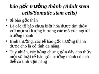 bo g?c tr??ng thnh (Adult stem
      cells/Somatic stem cells)
? t? bo g?c th?n
? L cc t? bo ch?a bi?t ha ???c tm th?y
  v?i m?t s? l??ng t trong cc m? c?a ng??i
  tr??ng thnh
? Bnh th??ng, cc t? bo g?c tr??ng thnh
  ???c cho l c tnh ?a n?ng,
? Tuy nhin, cc b?ng ch?ng g?n ??y cho th?y
  m?t s? lo?i t? bo g?c tr??ng thnh cn c
  th? c tnh v?n n?ng
 