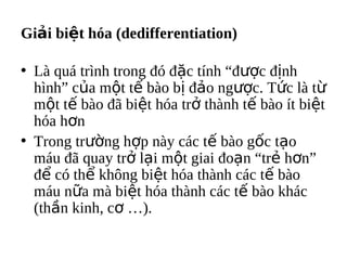 Gi?i bi?t ha (dedifferentiation)

? L qu trnh trong ? ??c tnh ???c ??nh
  hnh c?a m?t t? bo b? ??o ng??c. T?c l t?
  m?t t? bo ?? bi?t ha tr? thnh t? bo t bi?t
  ha h?n
? Trong tr??ng h?p ny cc t? bo g?c t?o
  mu ?? quay tr? l?i m?t giai ?o?n tr? h?n
  ?? c th? kh?ng bi?t ha thnh cc t? bo
  mu n?a m bi?t ha thnh cc t? bo khc
  (th?n kinh, c? ).
 