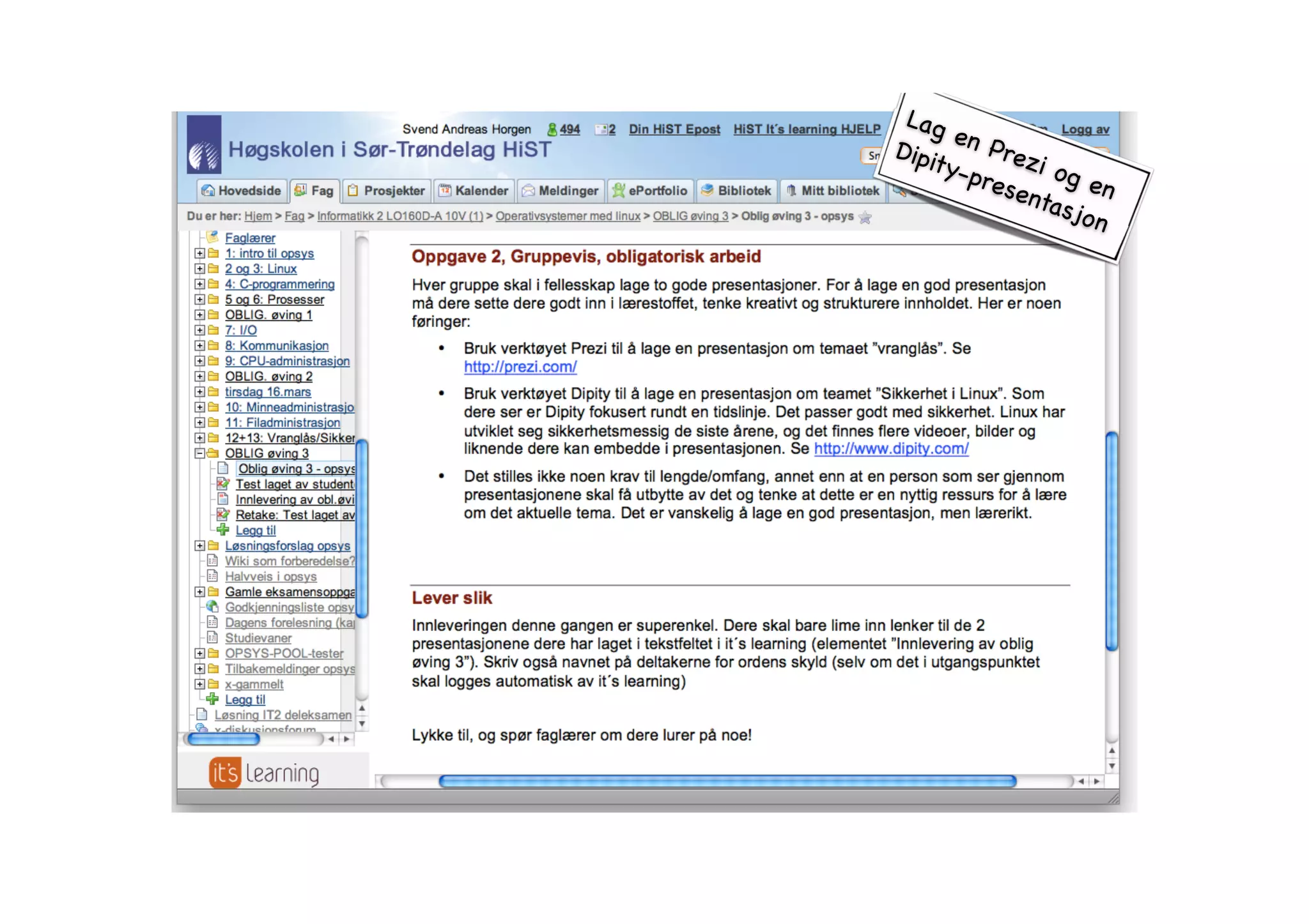 Lag en Prezi og en 
Dipity-presentasjon 
 