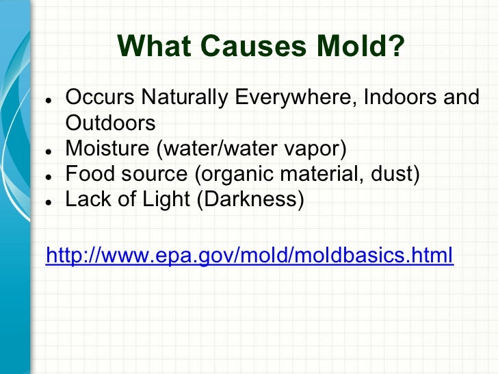 Hvac systems and Mold.pptx