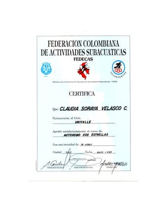 Hv actualizada   copia