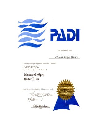 Hv actualizada   copia