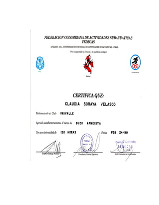 Hv actualizada   copia