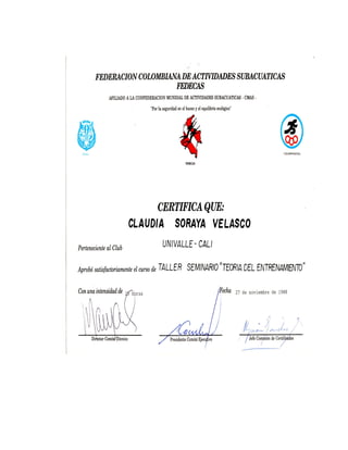 Hv actualizada   copia