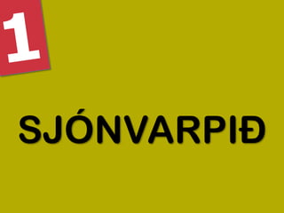 SJÓNVARPIÐ
 
