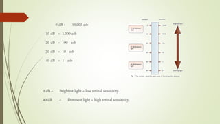 0 dB = 10,000 asb
10 dB = 1,000 asb
20 dB = 100 asb
30 dB = 10 asb
40 dB = 1 asb
0 dB = Brightest light = low retinal sensitivity.
40 dB = Dimmest light = high retinal sensitivity.
 