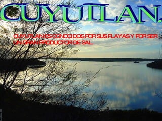 CUYUTLAN. CUYUTLAN ES CONOCIDOS POR SUS PLAYAS Y POR SER UN GRAN PRODUCTOR DE SAL. 