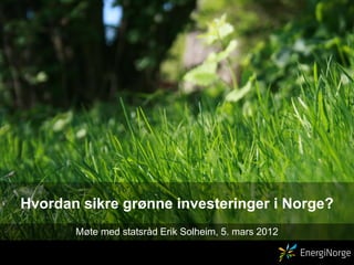 Hvordan sikre grønne investeringer i Norge?
       Møte med statsråd Erik Solheim, 5. mars 2012
 
