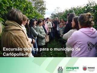Excursão técnica para o município de
Carlópolis-Pr.
 