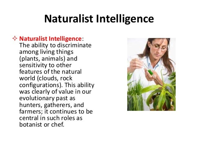 Naturalist Intelligence Theory – KXCNIY