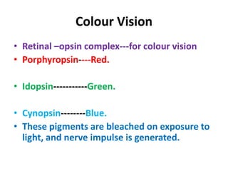 Colour Vision
• Retinal –opsin complex---for colour vision
• Porphyropsin----Red.
• Idopsin-----------Green.
• Cynopsin--------Blue.
• These pigments are bleached on exposure to
light, and nerve impulse is generated.
 