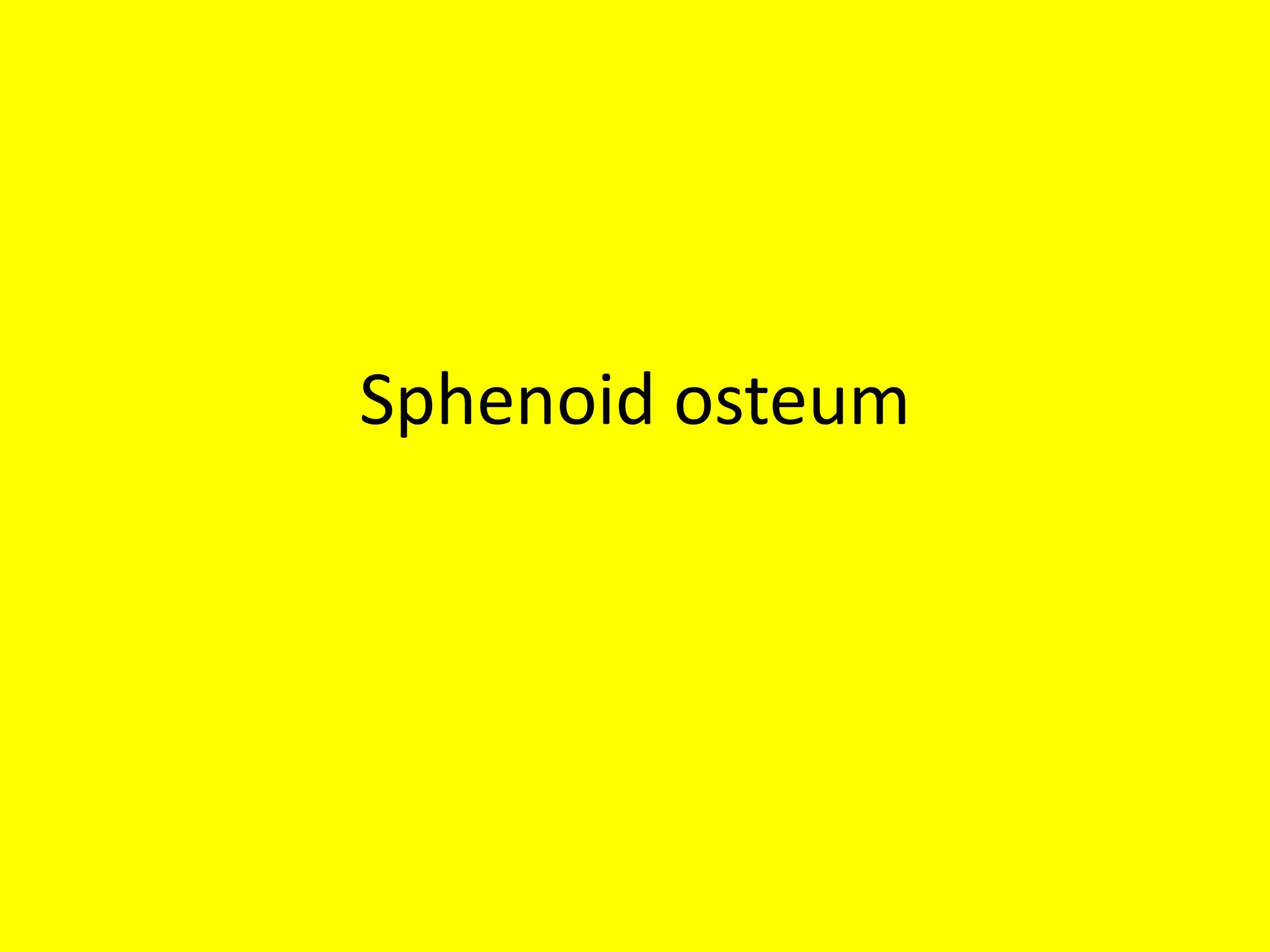 Sphenoid osteum
 