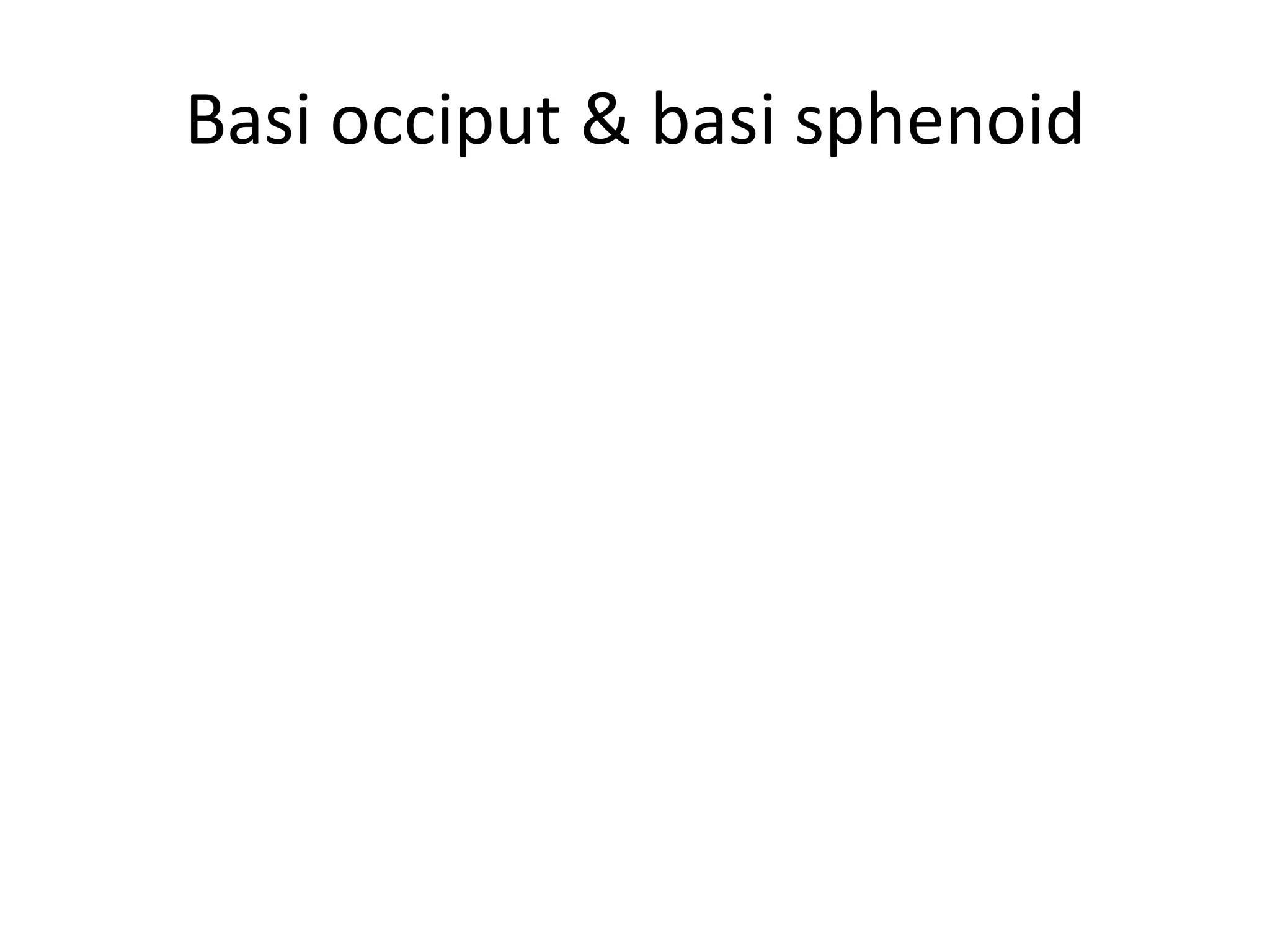 Basi occiput & basi sphenoid
 