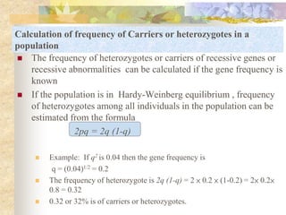 Hardy-Weinberg Law | PPT