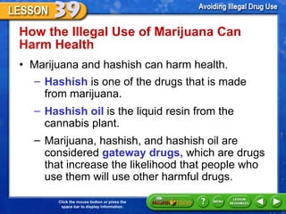 How the Illegal Use of Marijuana Can Harm Health  Marijuana and hashish can harm health.  Hashish  is one of the drugs that is made  from marijuana.  Hashish oil  is the liquid resin from the cannabis plant. Marijuana, hashish, and hashish oil are considered  gateway drugs,  which are drugs that increase the likelihood that people who use them will use other harmful drugs.  