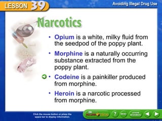 Narcotics Opium  is a white, milky fluid from the seedpod of the poppy plant. Morphine  is a naturally occurring substance extracted from the  poppy plant. Codeine  is a painkiller produced from morphine. Heroin  is a narcotic processed from morphine. 