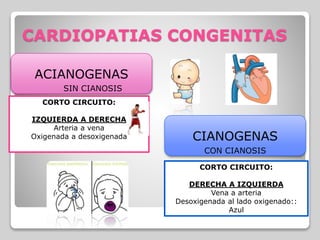 CARDIOPATIAS CONGENITAS
ACIANOGENAS
CIANOGENAS
SIN CIANOSIS
CON CIANOSIS
CORTO CIRCUITO:
IZQUIERDA A DERECHA
Arteria a vena
Oxigenada a desoxigenada
CORTO CIRCUITO:
DERECHA A IZQUIERDA
Vena a arteria
Desoxigenada al lado oxigenado::
Azul
 