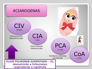 ACIANOGENAS
CIV18-20%
CIA5-8%
PCA5-10%
CoA5-3%
Comunicación
interventricular
Comunicación
interauricular
Conducto arterioso
persistente
FLUJO PULMONAR AUMENTADO : IC,
desnutrición e Infecciones
respiratorias a repetición
 