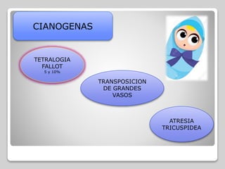 CIANOGENAS
TETRALOGIA
FALLOT
5 y 10%
TRANSPOSICION
DE GRANDES
VASOS
ATRESIA
TRICUSPIDEA
 