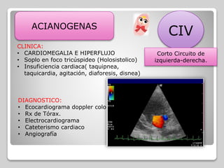 ACIANOGENAS
CIV
CLINICA:
• CARDIOMEGALIA E HIPERFLUJO
• Soplo en foco tricúspideo (Holosistolico)
• Insuficiencia cardiaca( taquipnea,
taquicardia, agitación, diaforesis, disnea)
DIAGNOSTICO:
• Ecocardiograma doppler color
• Rx de Tórax.
• Electrocardiograma
• Cateterismo cardiaco
• Angiografía
TRATAMIENTO:
• QX
• Cierre 4 a 6 años.
• Tratamiento para la
insuficiencia cardiaca:
digoxina y diuretico
Corto Circuito de
izquierda-derecha.
 