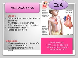 ACIANOGENAS
• Clínica :
• Dolor torácico, sincopes, mano y
pies frios
• Mas frecuente en hombres
• Infecciones en el 1er trimestre
• Hipertensión Arterial
• Pulsos asincrónicos
Diagnostico:
• Electrocardiograma: Hipertrofia
ventricular derecha.
• Ecocardiograma Alto flujo
aórtico.
TRATAMIENTO:
• QX solo en caso de
producir hipertensión-
ANGIOPLASTICA
CoA
 