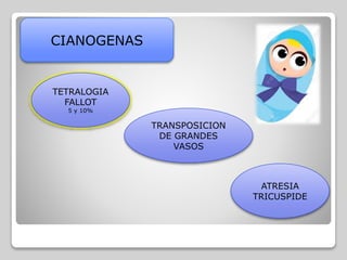 CIANOGENAS
TETRALOGIA
FALLOT
5 y 10%
TRANSPOSICION
DE GRANDES
VASOS
ATRESIA
TRICUSPIDE
 