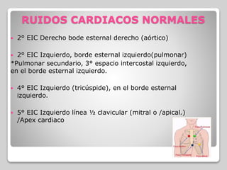 RUIDOS CARDIACOS NORMALES
 2° EIC Derecho bode esternal derecho (aórtico)
 2° EIC Izquierdo, borde esternal izquierdo(pulmonar)
*Pulmonar secundario, 3° espacio intercostal izquierdo,
en el borde esternal izquierdo.
 4° EIC Izquierdo (tricúspide), en el borde esternal
izquierdo.
 5° EIC Izquierdo línea ½ clavicular (mitral o /apical.)
/Apex cardiaco
 