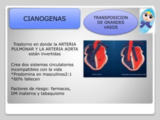CIANOGENAS TRANSPOSICION
DE GRANDES
VASOS
Trastorno en donde la ARTERIA
PULMONAR Y LA ARTERIA AORTA
están invertidas
Crea dos sistemas circulatorios
incompatibles con la vida
*Predomina en masculinos2:1
*60% fallecen
Factores de riesgo: farmacos,
DM materna y tabaquismo
 