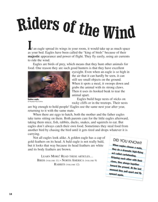 14
If an eagle spread its wings in your room, it would take up as much space
as your bed. Eagles have been called the “king of birds” because of their
majestic appearance and power of flight. They fly easily, using air currents
to ride the wind.
Eagles are birds of prey, which means that they hunt other animals for
food. One reason they are such good hunters is that they have excellent
eyesight. Even when an eagle is so high in
the air that it can hardly be seen, it can
still see small objects on the ground.
When it spots a meal, it swoops down and
grabs the animal with its strong claws.
Then it uses its hooked beak to tear the
animal apart.
Eagles build huge nests of sticks on
rocky cliffs or in the treetops. Their nests
are big enough to hold people! Eagles use the same nest year after year,
returning to it with the same mate.
When there are eggs to hatch, both the mother and the father eagles
take turns sitting on them. Both parents care for the little eagles afterward,
taking them mice, fish, rabbits, ducks, snakes, and squirrels to eat. But
eagles don’t always catch their own food. Sometimes they steal food from
another bird by chasing the bird until it gets tired and drops whatever it is
carrying.
Not all eagles look alike. A golden eagle has a cap of
gold feathers on its head. A bald eagle is not really bald,
but it looks that way because its head feathers are white
and its body feathers are brown.
LEARN MORE! READ THESE ARTICLES…
BIRDS (VOLUME 11) • NORTH AMERICA (VOLUME 9)
RABBITS (VOLUME 12)
Riders of the Wind
Golden eagle.
© Royalty-Free/Corbis
DID YOU KNOW?When eagles choose a mate,they do a dramatic high-flyingact called cartwheeling.Gripping each other with theirclaws, they plunge togethertoward the ground. At the lastmoment they pull apart and flyupward again.
 