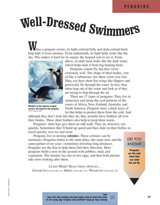 P E N G U I N S
27
When a penguin swims, its light-colored belly and dark-colored back
help hide it from enemies. From underneath, its light belly looks like the
sky. This makes it hard for its enemy the leopard seal to see it. From
above, its dark back looks like the dark water,
which helps hide it from big hunting birds.
Penguins cannot fly, but they swim
extremely well. The shape of their bodies, sort
of like a submarine, lets them swim very fast.
They use their short flat wings like flippers and
practically fly through the water. In fact, they
often leap out of the water and look as if they
are trying to flap through the air.
There are 17 types of penguins. They live in
Antarctica and along the cool portions of the
coasts of Africa, New Zealand, Australia, and
South America. Penguins have a thick layer of
fat that helps to protect them from the cold. And
although they don’t look like they do, they actually have feathers all over
their bodies. These short feathers also help to keep them warm.
Penguins’ short legs give them an odd walk. They do, however, run
quickly. Sometimes they’ll build up speed and then slide on their bellies to
travel quickly over ice and snow.
Penguins live in nesting colonies. These colonies can be
enormous. Penguins return to the same place, the same nest, and the
same partner every year—sometimes traveling long distances.
Penguins use the Sun to help them find their direction. Most
penguins build a nest on the ground with pebbles, mud, and
vegetation. The females lay one or two eggs, and then both parents
take turns looking after them.
LEARN MORE! READ THESE ARTICLES…
ANTARCTICA (VOLUME 1) • BIRDS (VOLUME 11) • WALRUSES (VOLUME 12)
Answer:Likeallbirds,penguinshavefeathers.Buttheirsareso
shortandclosetotheirbodiesthatthefeatherslookmorelike
skin.
★
©GeorgeD.Lepp/Corbis
Well-Dressed Swimmers
Penguins
are the only
birds that
can swim
but not fly.
DID YOU
KNOW?
Members of the emperor penguin
species, the largest of the penguins.
© Tim Davis/Corbis
 