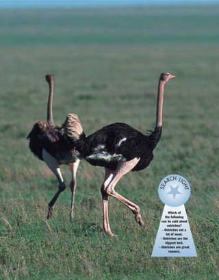 30
Which of
the following
can be said about
ostriches?
- Ostriches eat a
lot of meat.
- Ostriches are the
biggest bird.
- Ostriches are great
runners.
SEA
RCH LIGHT
 