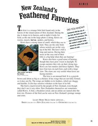 K I W I S
33
The kiwi is a strange little bird found only in the
forests of the island nation of New Zealand. During the
day it sleeps in its burrow, and at night it looks for
food, as the one in the large photo is doing. Kiwis eat
worms, insects, larvae, spiders, and berries.
Kiwis have a strong sense of smell, which they use to
hunt. They are the only birds
whose nostrils are on the very
tip of the bill. The kiwi’s bill is
long and narrow. Having their
noses at the very end of their
bills is a big help when they are hunting!
Kiwis also have a good sense of hearing,
though they have poor vision in daylight. To
escape enemies they rely on their strong legs.
Kiwis are fast runners and fierce fighters. They
have four toes on each foot, each with a large
claw. The claws are very useful when kiwis are
facing enemies.
The kiwi is an unusual bird. It is a grayish
brown and about as big as a chicken. It has wings that are not fully formed,
so it does not fly. The wings are hidden in its feathers, which are shaggy
and hairlike. It also has sensitive whiskers at the base of its bill.
The bird is much loved by the people of New Zealand, even though
they don’t see it very often. New Zealanders themselves are sometimes
called Kiwis. A fruit, a breakfast cereal, and an airline are named after the
kiwi too. Pictures of the bird can be seen on New Zealand’s postage stamps
and coins.
LEARN MORE! READ THESE ARTICLES…
BIRDS (VOLUME 11) • NEW ZEALAND (VOLUME 7) • OSTRICHES (VOLUME 11)
Answer:Thekiwiisanunusualbird.Itswingsarenotfully
formed,soitdoesnotfly.
★
Feathered Favorites
New Zealand’s
“Kiwi crossing” road sign in
New Zealand.
© Paul A. Souders/Corbis
DID YOU KNOW?
Compared with the size of
the bird, the kiwi’s egg isn’t
just large, it’s enormous. The
egg is about 20 percent of
the mother’s weight. It fills
almost her entire body right
before it’s laid.
 